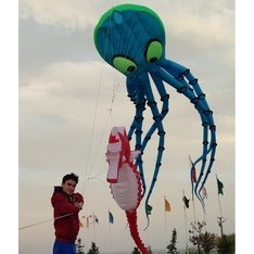 Mustafakiteflyer