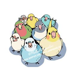Mutlu Papağanlar