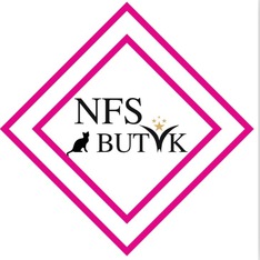 NFSButik