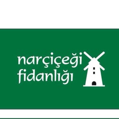 Narcicegi_Fidanligi