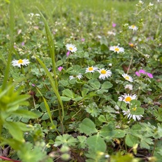 NazanHobi
