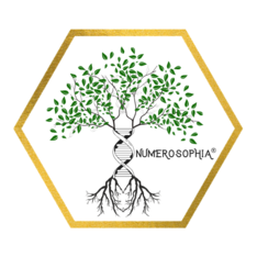 NumeroSophia365