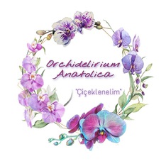 Orchidelirium