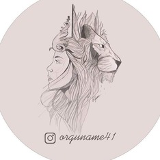 Orguname41