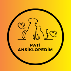 Patiansiklopedimstore