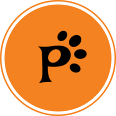 Paticino