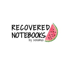 Recovered Notebook