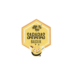 SARARASBALCILIK