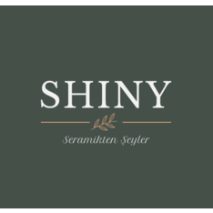 SHINY_CERAMICS