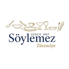 SoylemezAVM