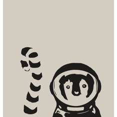 SpaceLemurs