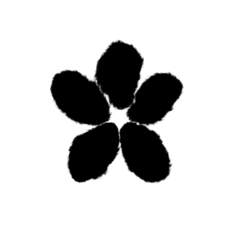 Toghyan