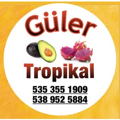 Tropikalmarket0707