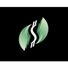 VizyonCash