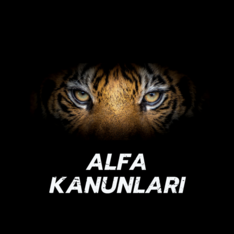 alfakanunlari