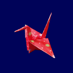 ankavac