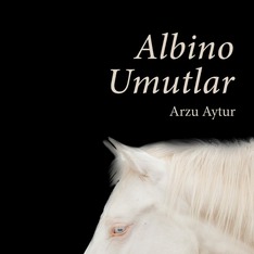 arzuaytur