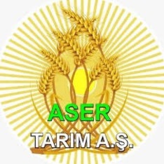 asertarim