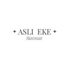 asliekeaksesuar1