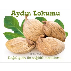 aydinlokumu
