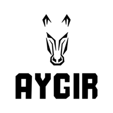aygirwear