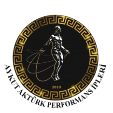 aykutakturkperformansipleri