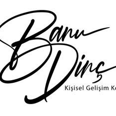 banudinc