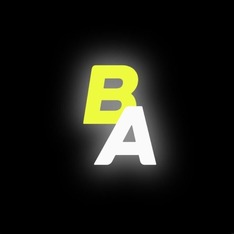 basarialemi