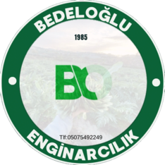 bdlglzrt