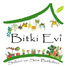bitkievi