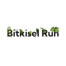 bitkiselruh