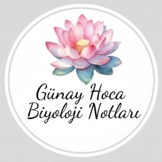 biyolojininmelodisi