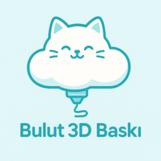bulut3dbaski