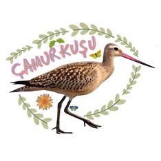 camurkusu