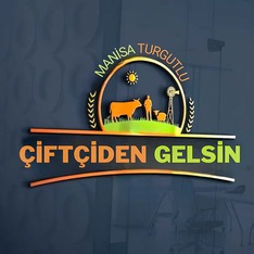 ciftcidengelsin