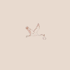 cocoontr_