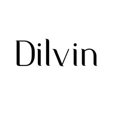 dilvinbutik