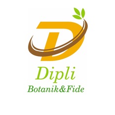 diplibotanik16