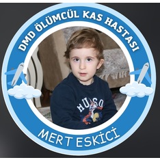 dmdmerteskici