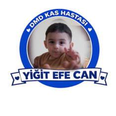 dmdyigitefecan