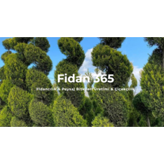  www.fidan365.com