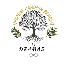 dramas