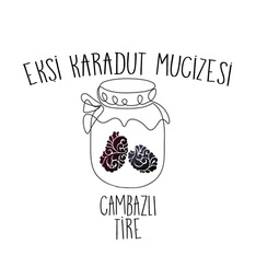 eksikaradutmucizesi