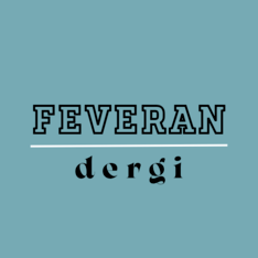 feverandergi