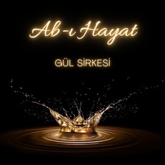 gulsirkesi