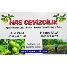 hascevizcilik