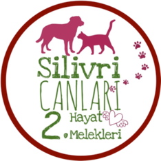iyilikiyidir