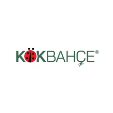 kokbahce