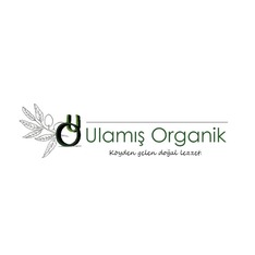 ulamisorg