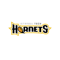 merchhornets